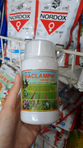 MACLAMPIR 300 EC + ZPT 250 ML INSEKTISIDA PENGENDALI HAMA // MAKLAMPIR INSEKTISIDA