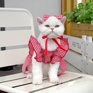 S-XL Pet Princess Dress with Cute Bowknot Cat Flower Skirt Summer Puppy Clothes Teddy Costume