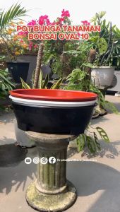 Pot Bunga Tanaman Bonsai Oval 50 Cm Putih Bahan Tebal - BONSAI OVAL 10 PUTIH