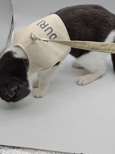 🚚 🇹🇭พร้อมส่งจาก กทม! ปลอกคอแมว สายจูงแบบตัวอักษรสะท้อนแสง สายรัดหน้าอก สำหรับสัตว์เลี้ยงกลางแจ้ง เหมาะสำหรับสุนัขและแมว ลูกแมว และลูกสุนัข เพื่อป้องกันการหลุดออกของอุปกรณ์เสริม