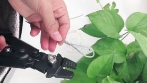 Dây cáp treo CÓ BỌC NHỰA bảo vệ 15mm (Ø15) cáp inox 304 không gỉ phủ PVC chuyên cho đèn khung tranh trang trí gia dụng công trình