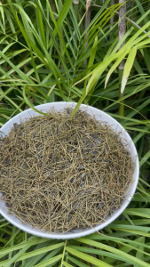 Cây giảo cổ lam sấy khô 1kg - tấn phát - Hàng khô chất lượng cao chuyên dùng để pha trà hỗ trợ cải thiện sức khoẻ