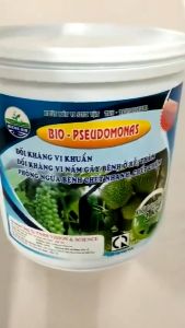 BIO PSEUDOMONAS Đối Kháng Nấm Và Vi Khuẩn Trừ Bệnh Vàng Lá Thối Rế Héo Xanh Bột Tan 2 KG
