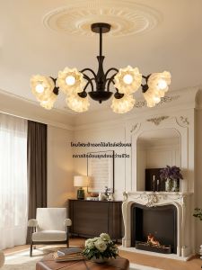 DGY | French Style Vintage Eye-Protecting Chandelier
