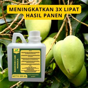 Pupuk Pelebat Mangga / Pupuk Buah Mangga / Pupuk Booster Mangga / Pupuk Mangga