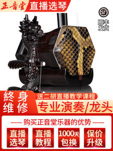 Professional Erhu Instrument for Adults Hand Carved Ebony Dragon Head Six Cornered Black Ebony Shell Musical Instrument