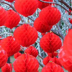 Meilun 12/15/20/25/30Cm Chống Nước Đèn Lồng Đỏ Nhựa Tổ Ong Trung Quốc Đồ Trang Trí Lễ Hội Mùa Xuân Năm Mới Trung Quốc Đồ Thủ Công Mỹ Nghệ