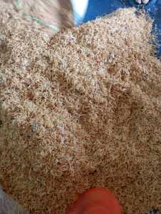 Ikan asin 69 UDANG rebon GURIH 1kg termurah paling laris garing kering