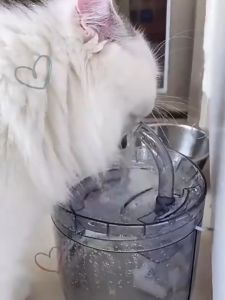 น้ําพุแมวสัตว์เลี้ยงอัตโนมัติ น้ําพุสัตว์เลี้ยง น้ําพุแมว น้ําพุหมา