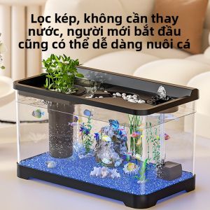 KUOTING | Hệ Thống Lọc Hồ Cá Cung Cấp Oxy Phù Hợp Phòng Khách Nhỏ Mẫu Mới 2026 Eco-Scape