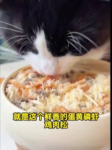 ZHUCHONG | Thực Phẩm Bổ Sung Thú Cưng