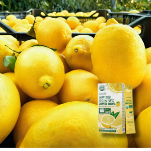 [Healthyhug]Lemon-a-Day Organic NFC Lemon Juice 100% 280g(20gx14stick) 하루1레몬 유기농 NFC 레몬즙 100% 280g(20gx14포)