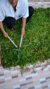 Starnic สตาร์นิค กรรไกรตัดหญ้า กรรไกรตัดแต่งกิ่ง ด้ามจับอลูมิเนียม ขนาด 26 นิ้ว