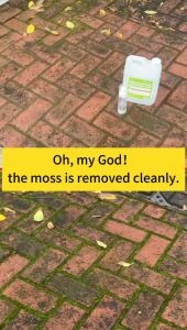 2500 ML Moss Remover from Japan: Effective Cement Surface Moss Control