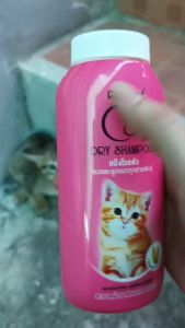 แป้งโรยตัวแมว แป้งอาบแห้งแมว dry shampoo เชนการ์ด แคทดรายแชมพู สําหรับแมวและลูกแมวทุกสายพันธุ์ แป้งแมวกลิ่นหอม สําหรับแมว 100g