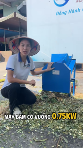 Máy băm cỏ vuông - LH 0826.200.800 (Zalo)