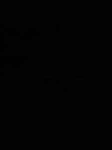 RUIMO JS-8 Sepatu Sneakers Pria Style Running Mode Slip on Dengan Pengikat Tali Motif Minimalis