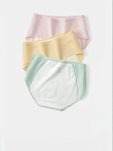 Secret World | Antibacterial Leak-proof Womens Cotton Underwear