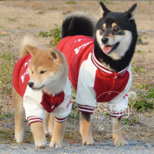 สุนัขสีแดงกีฬาค้างคาว Ball เสื้อผ้าสุนัขสัตว์เลี้ยงเสื้อขนแกะขั้วโลกปักลําลอง Windbreaker สําหรับสุนัขขนาดเล็กถึงขนาดกลาง