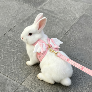 Rabbit Pet Leash Adjustable Anti-Escape