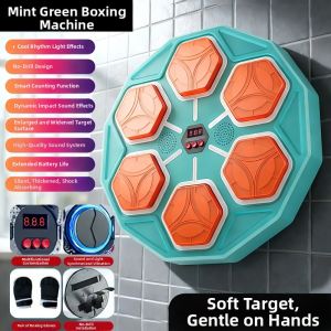 TEMiTANGMI | Music Playing Boxing Target Home Training Equipment