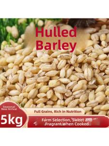 Fresh Quality Dehulled Barley 5 Jin