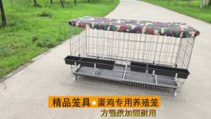 Chicken Cage Free Chicken Coop Quail Cage Household Large Free Shipping Breeding Cage Multiple Specifications