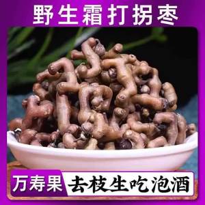 Fresh Edible Wild Dried Jujubes