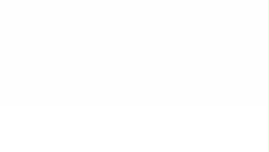 Nẹp chống xoay ngắn H1 Orbe