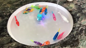 Đồ chơi Combo 5 Combo 10 Cá điện tử bơi trong nước phát sáng Robot Fish phát sáng sử dụng pin