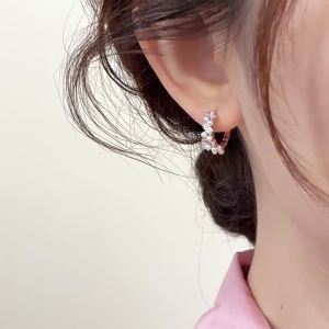 WENXI | Unique Design 2026 New Earrings