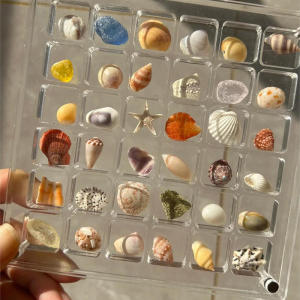 Acrylic Magnetic Seashell Display Box Seashell Display Diamond Storage Box Small Craft Organizers Compartment 36 Grids 2025