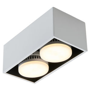 NSWR | Double Head Recessed Downlight