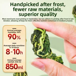 Premium Frost-Stricken Mulberry Leaf Tea