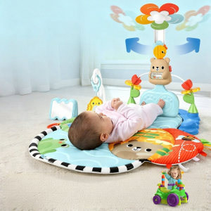 Fisher-Price | Đồ Chơi Thể Dục Đa Năng Cho Bé