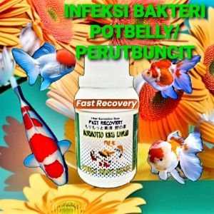 MORIMOTTO KIKU LIQUID 100ML DROPSY POTBELLY/ INFEKSI PERUT BUNCIT