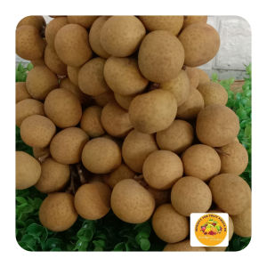 Fresh Longan fruits ₱380 for halfkilo 500g.(Sweet and Juicy) DELIVER ONLY AROUND METRO MANILA AREAS STRICTLY NO RETURN