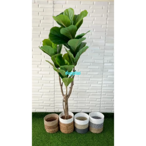 Pohon Hias Tanaman Artificial Ketapang X3 T150 Latex Cover Pot Seagrass Variasi Warna Dekorasi Cafe Aesthetic