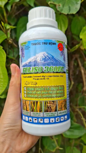 [THIEN THINH SHOP] Trừ Đạo Ôn Lá Thối Cổ Gié Cháy Bìa Lá Giúp Lúa Cứng Cây FELISO 360EC 450ml