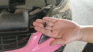 Car Fastener Clips Disassembly Tools Auto Body Fixing Pin Rivet Set Bumper Door Panel Mixed Plastic Clip Kit Accessories