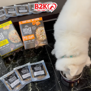 (Trial Pack) Absolute Holistic Home Cooked Style Recipe Gently Cooked Dog Food (125g x 3)