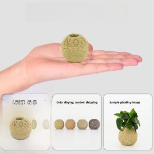 Large And Small Fixed Ring Base Plant Cup for Aquatic Grass Submersible Starter Kit for Beginners Aquarium Equipment