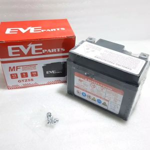 AKI KERING ACCU BATERAI MOTOR: Pemilihan & Penggunaan