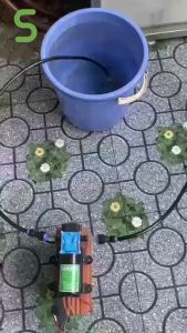 Máy tăng áp lực nước mini Samafa máy bơm áp lực 12v áp suất nước mạnh dùng tưới cây rửa xe