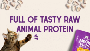 Stella & Chewys Meowfulls Freeze-Dried Raw Cat Treats w Salmon Oil & Probiotics 1.5oz | 3 Recipes