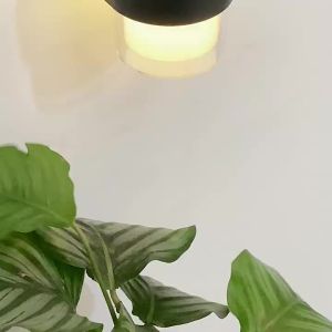 ไฟติดผนัง โซล่าเซลล์ led โคมไฟติดผนัง ไฟภายนอกอาคาร หลอดไฟโซล่าเซลล์ กันน้ำ กันฝน Solar light ไฟตกแต่งสวน wall light ติดตั้งง่าย ไม่ต้องเดินสายไฟ แบตทนทาน ปรับได้3โหมด ฟังก์ชั่นตรวจจับร่างกายมนุษย์ในตัว