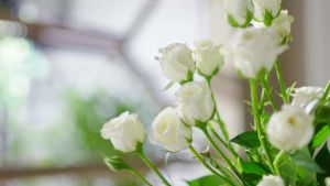 Toaster Sandwich Bread Maker Midea Fully Automatic Breakfast Sandwich Small Multi-Function Toaster Oven Toaster Sandwich