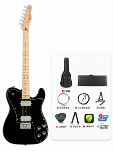 Beginner Electric Guitar