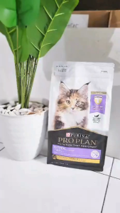 Proplan 1.5 Kg Kitten Chicken makanan kucing