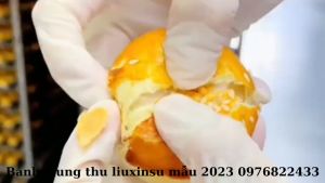 (giá dùng thử)COMPO 9 CÁI Tổng hợp 9 loại BÁNH ngàn lớp trứng muối tan chảy các vị 500g